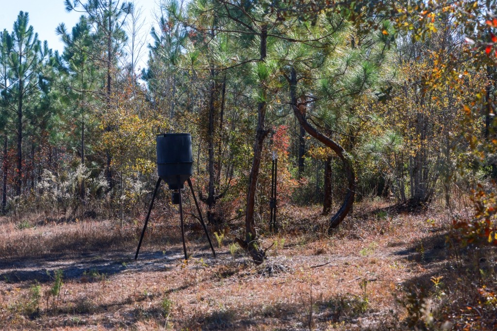 Laurens Ponds & Pines Photo