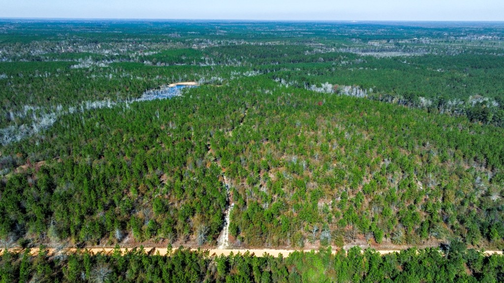 Laurens Ponds & Pines Photo