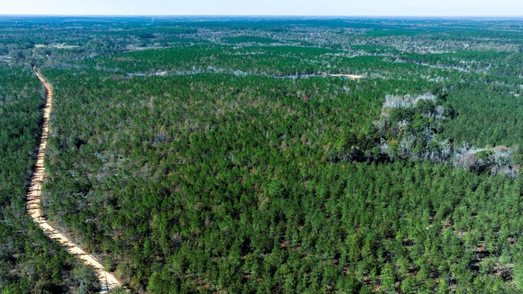 Laurens Ponds & Pines Photo