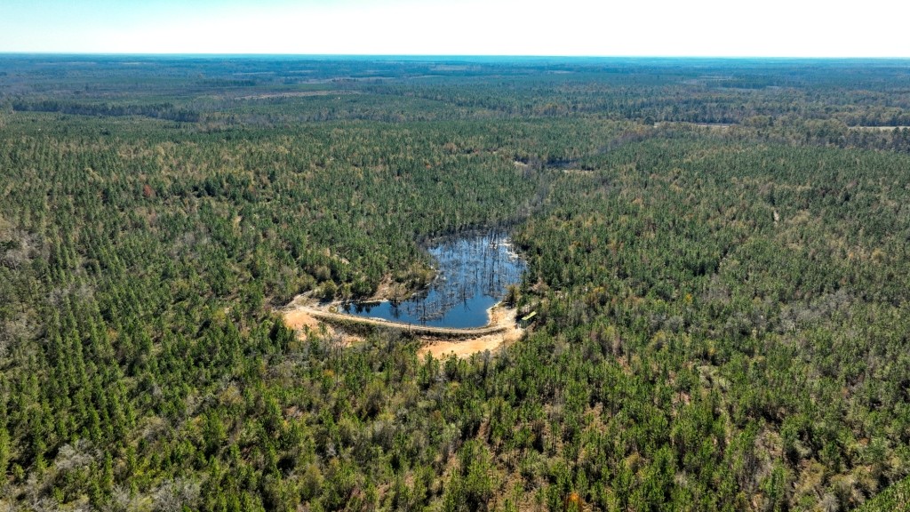 Laurens Ponds & Pines Photo