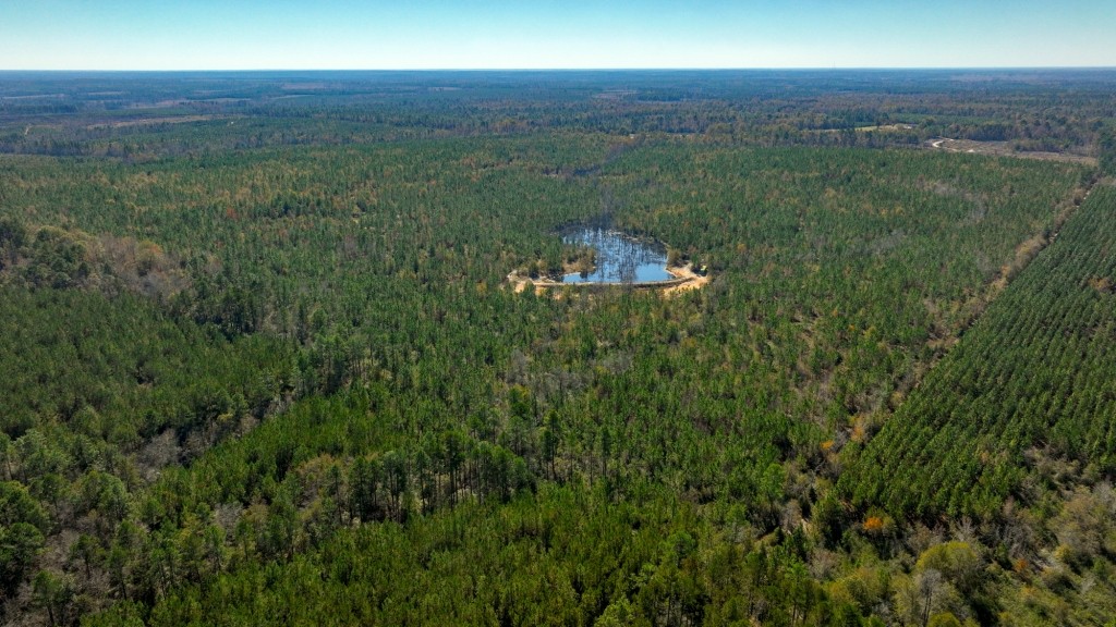 Laurens Ponds & Pines Photo