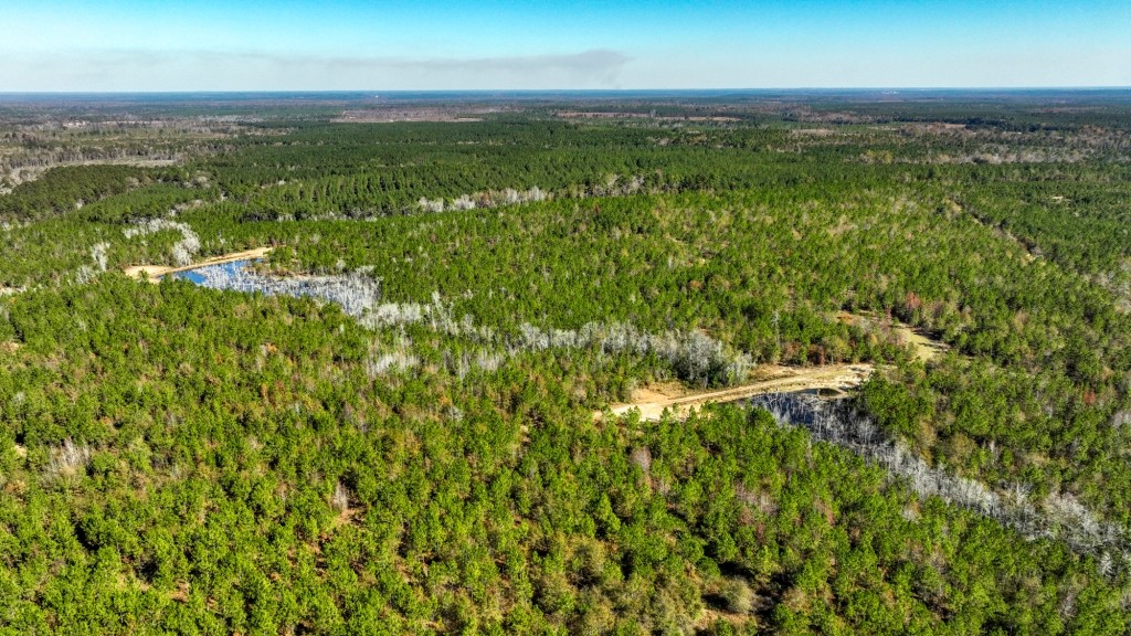 Laurens Ponds & Pines Photo