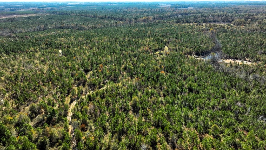 Laurens Ponds & Pines Photo