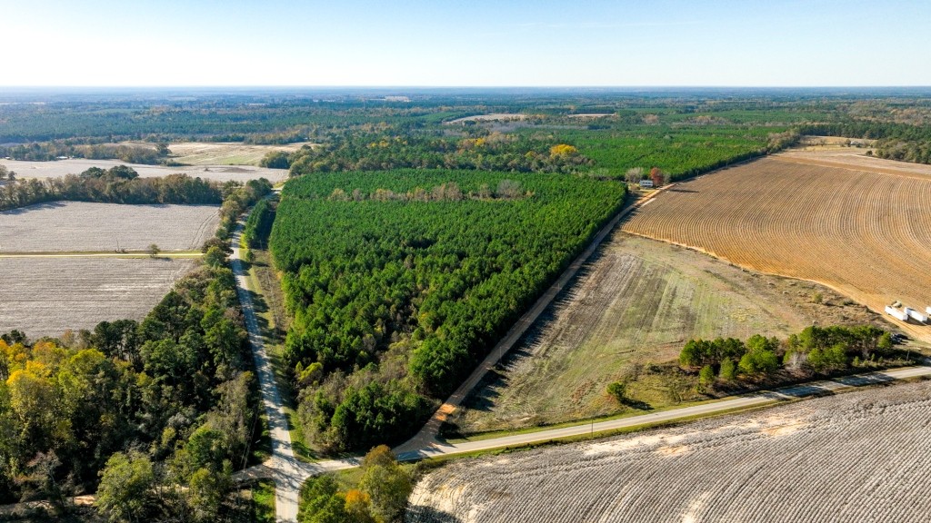 New Light Homeplace Photo