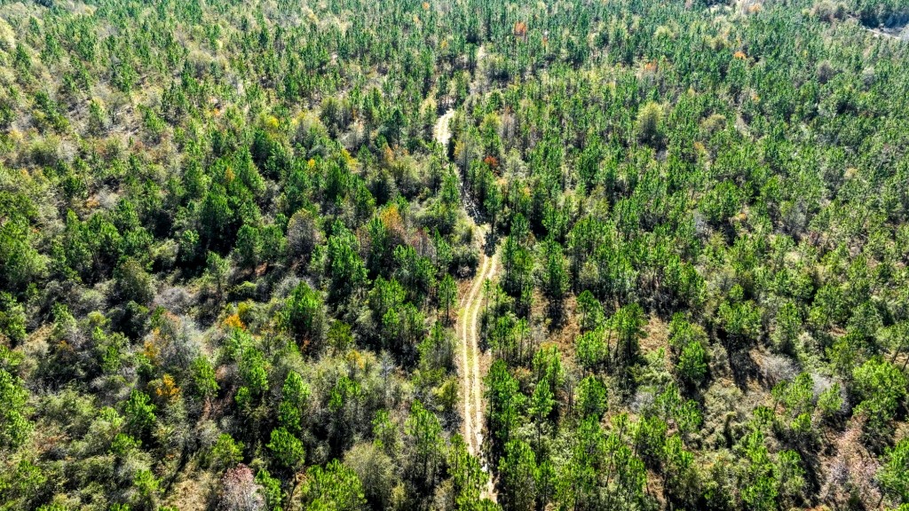 Laurens Ponds & Pines Photo