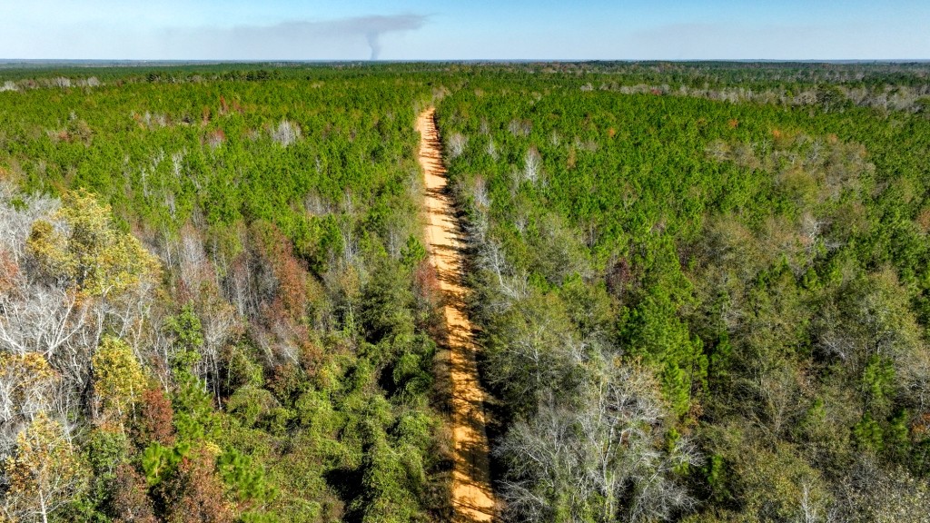 Laurens Ponds & Pines Photo