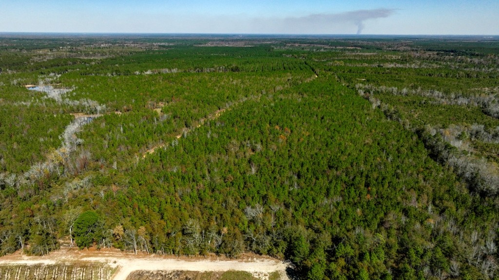 Laurens Ponds & Pines Photo