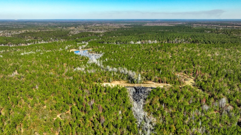 Laurens Ponds & Pines Photo