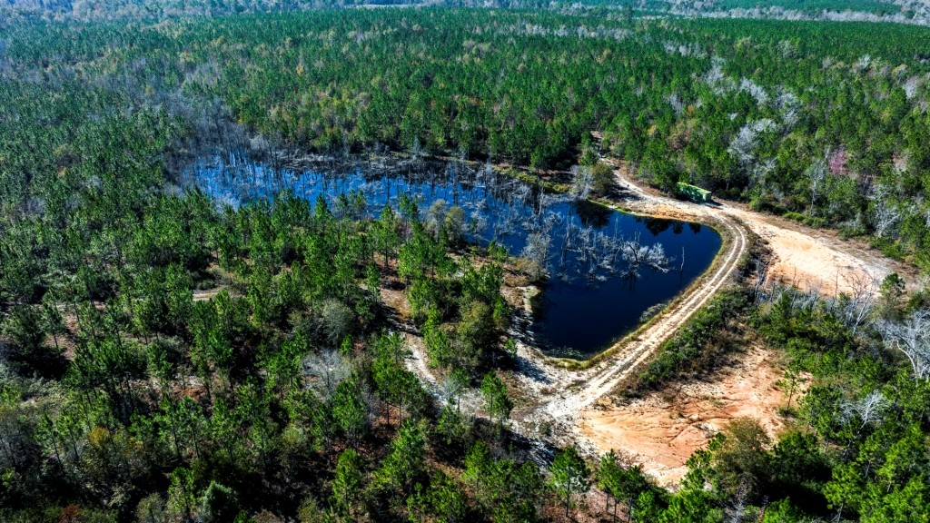 Laurens Ponds & Pines Photo