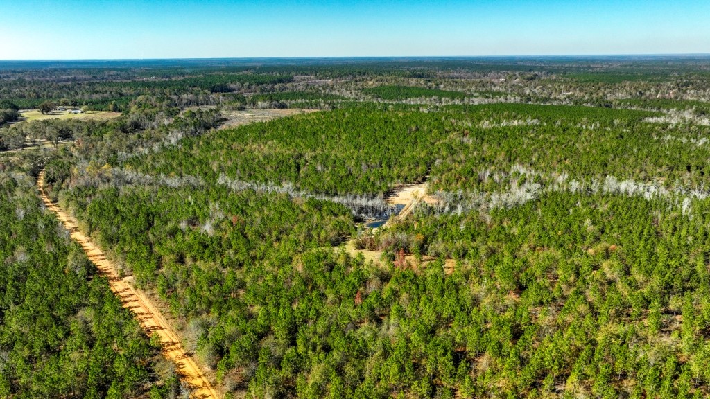 Laurens Ponds & Pines Photo