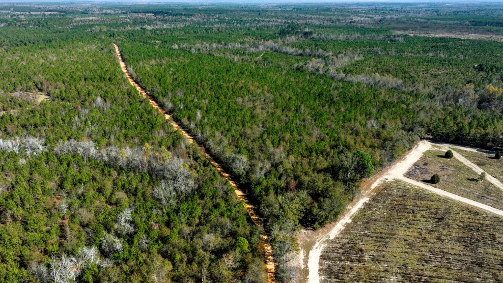 Laurens Ponds & Pines Photo