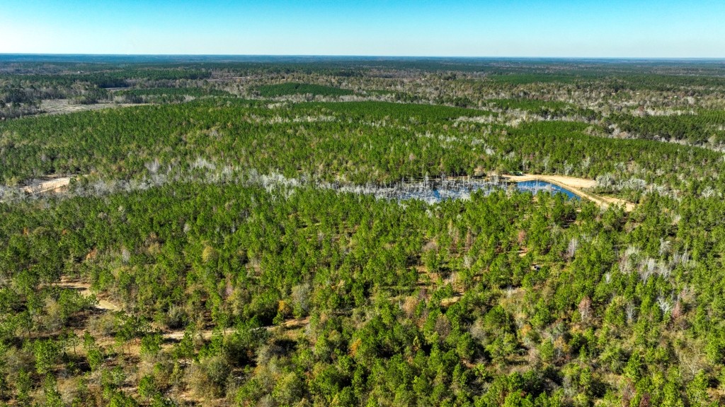 Laurens Ponds & Pines Photo