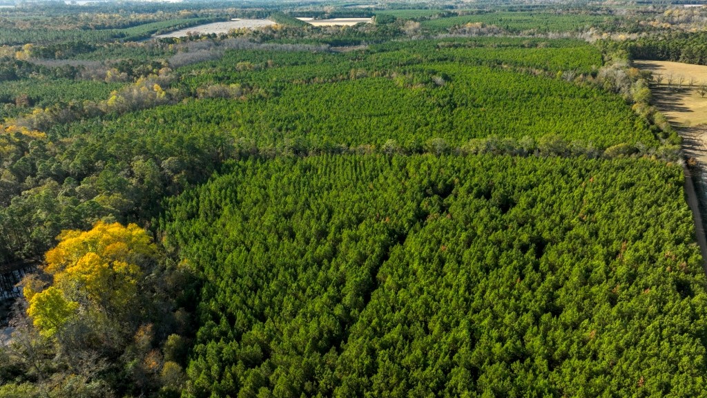 New Light Homeplace Photo