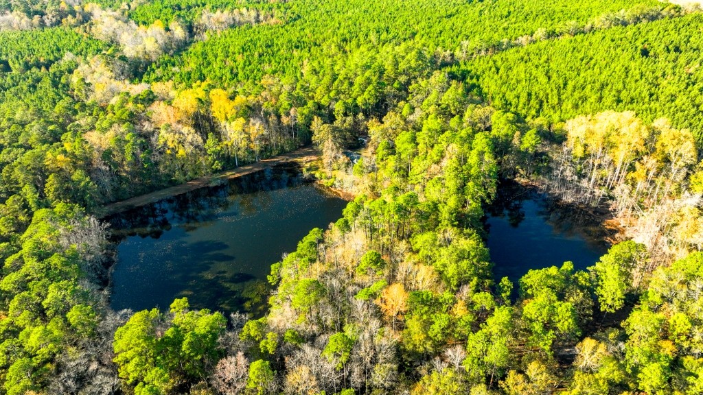 New Light Homeplace Photo