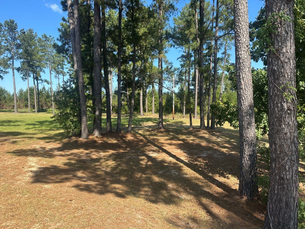 Hiltonia Lakes Photo