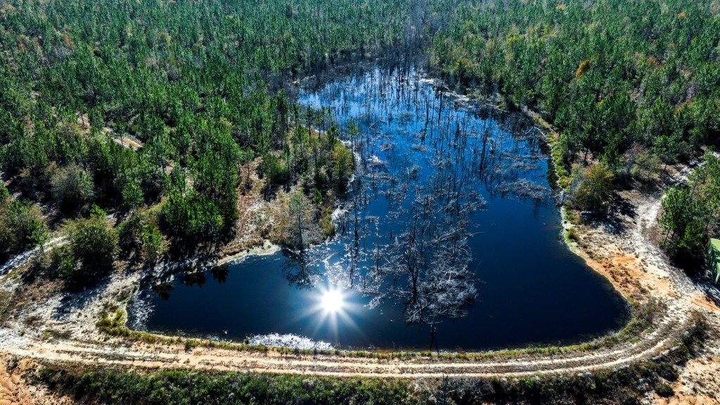 Laurens Ponds & Pines Photo