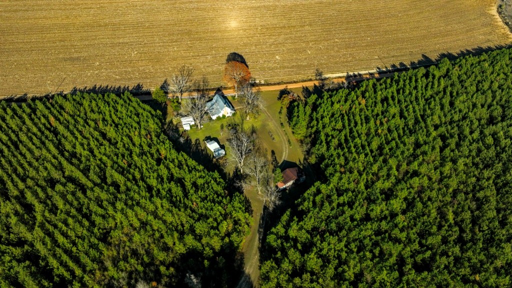 New Light Homeplace Photo