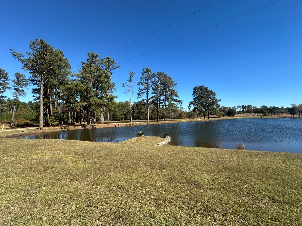 Hiltonia Lakes Photo