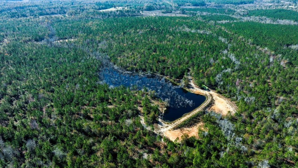 Laurens Ponds & Pines Photo