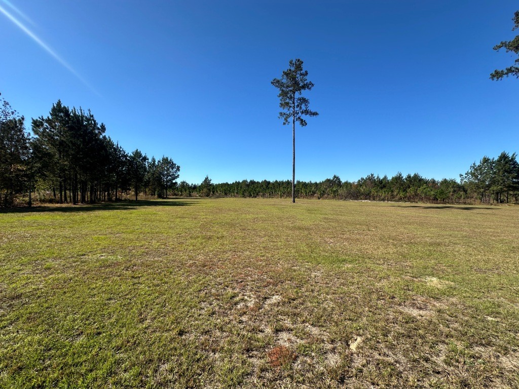 Hiltonia Lakes Photo