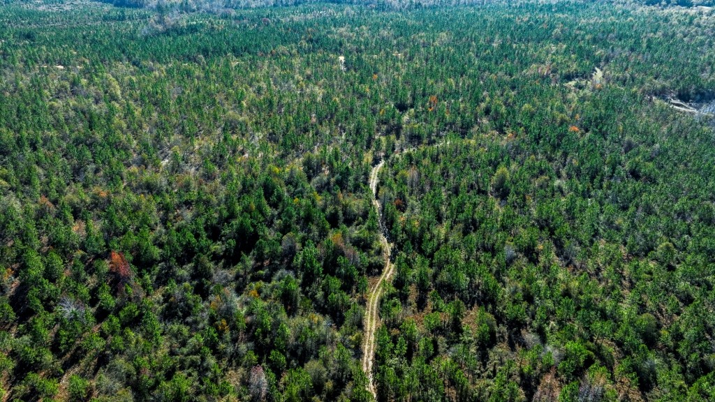 Laurens Ponds & Pines Photo