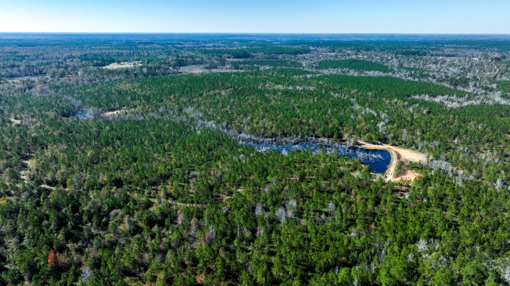 Laurens Ponds & Pines Photo