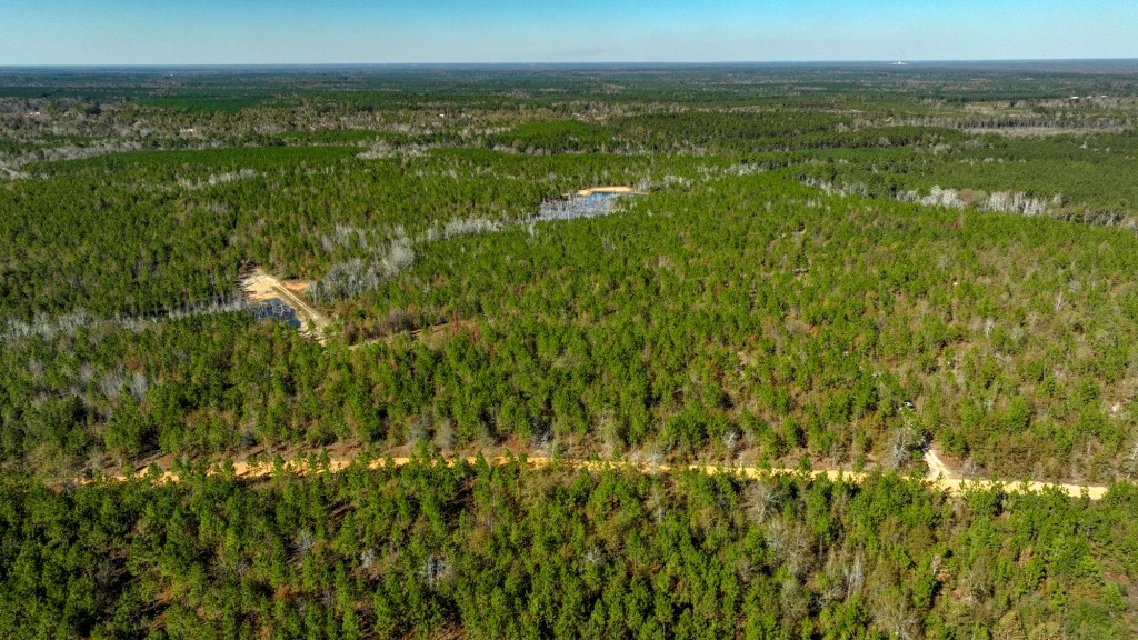 Laurens Ponds & Pines Photo