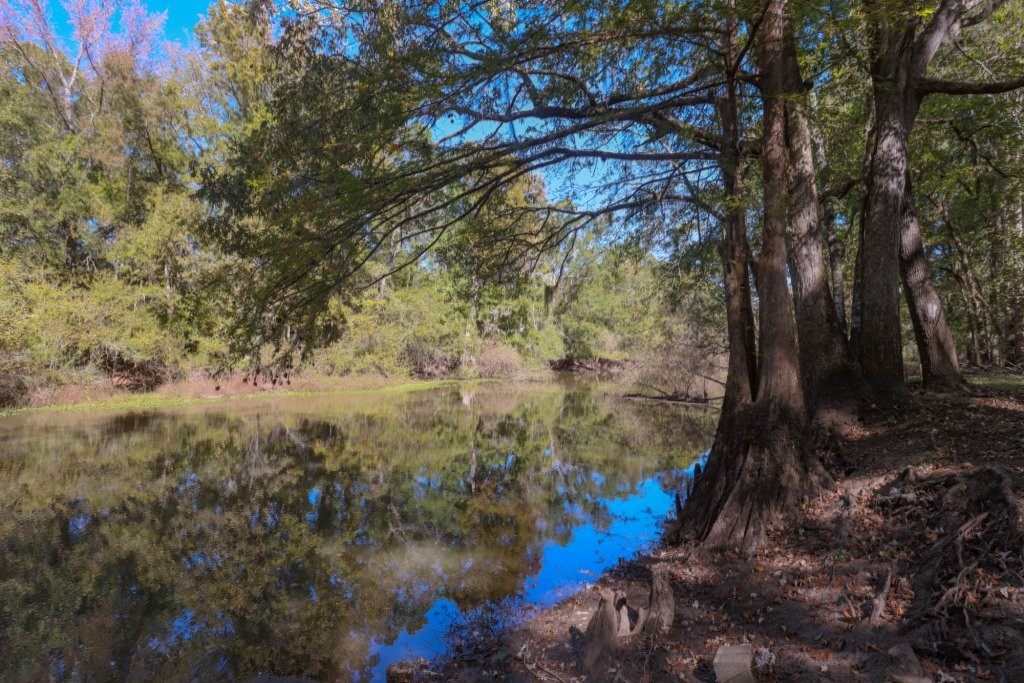 Ogeechee River Plantation – Tract 1 Photo