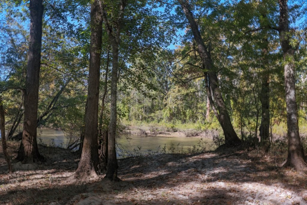 Ogeechee River Plantation – Tract 1 Photo