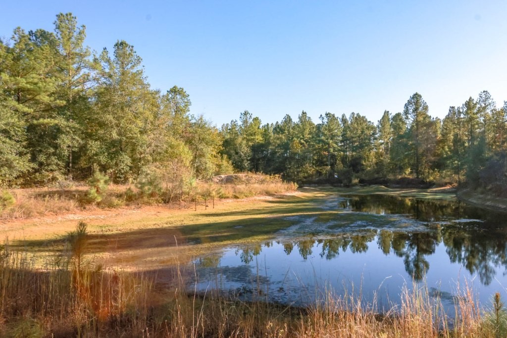 Ogeechee River Plantation – Tract 2 Photo
