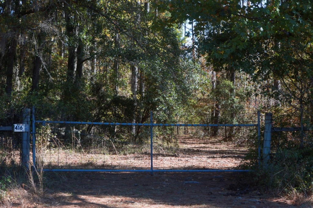 Lotts Creek – Tract 1 Photo