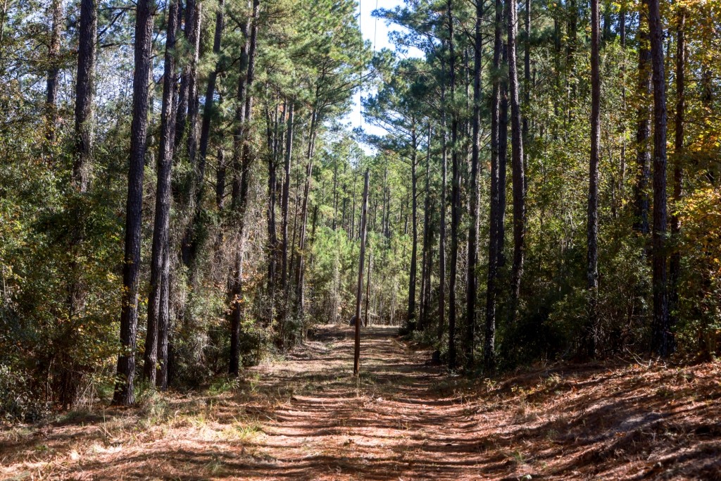 Lotts Creek Tract Photo