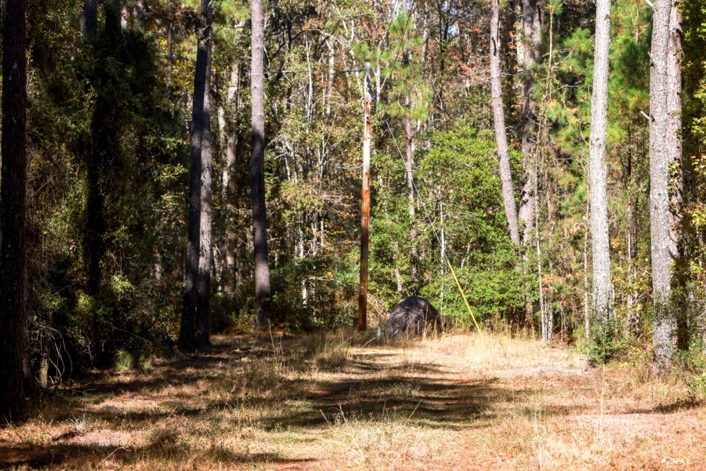 Lotts Creek – Tract 1 Photo