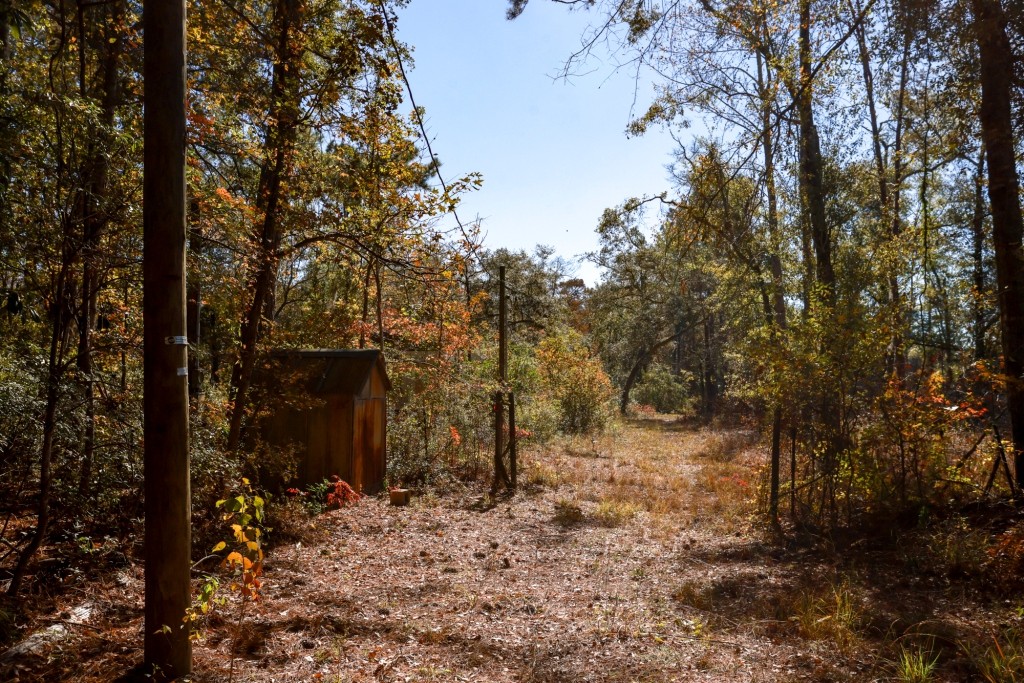 Lotts Creek Tract Photo