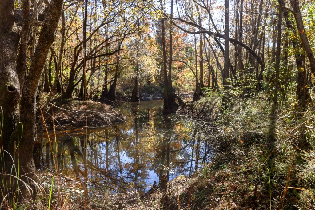 Lotts Creek Tract Photo