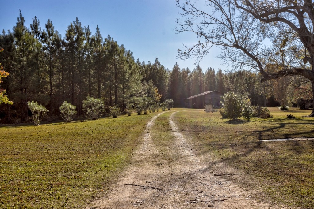 New Light Homeplace Photo