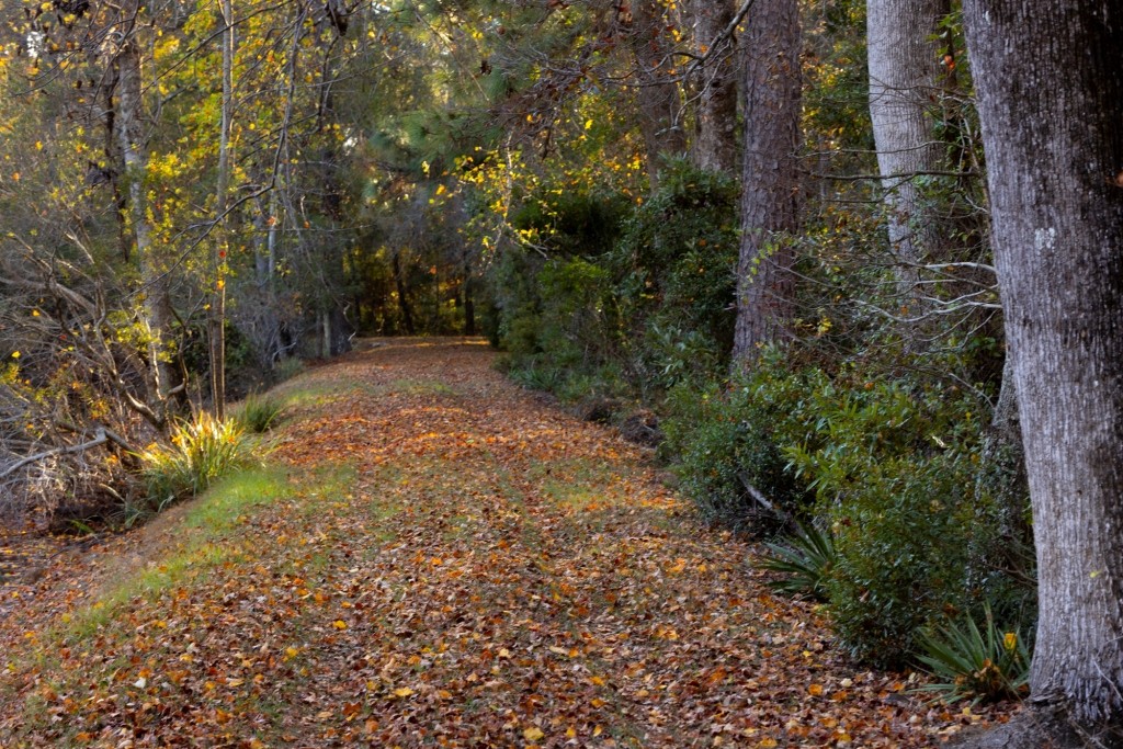 New Light Homeplace Photo