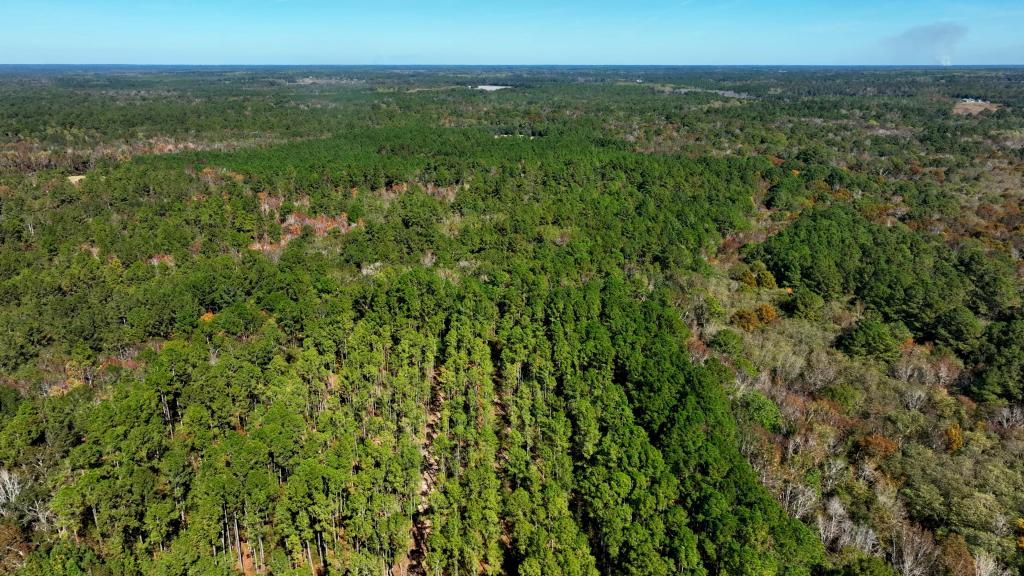 Lotts Creek Tract Photo