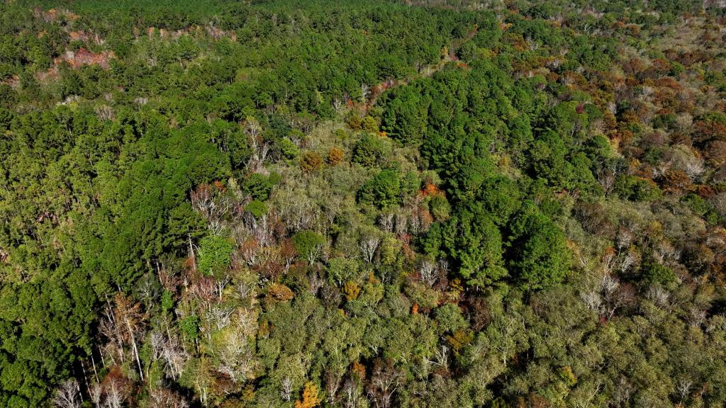 Lotts Creek Tract Photo