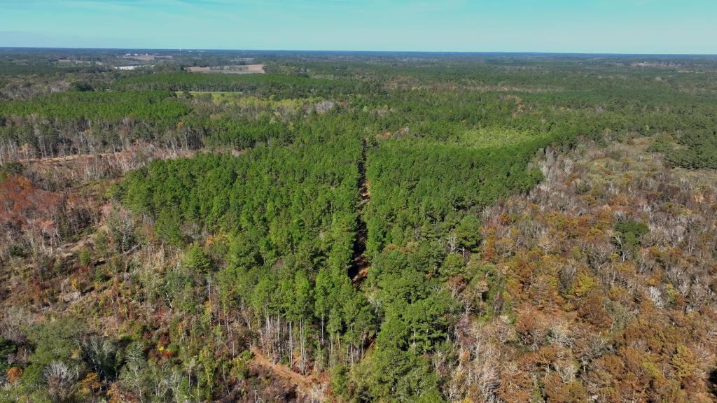 Lotts Creek – Tract 1 Photo