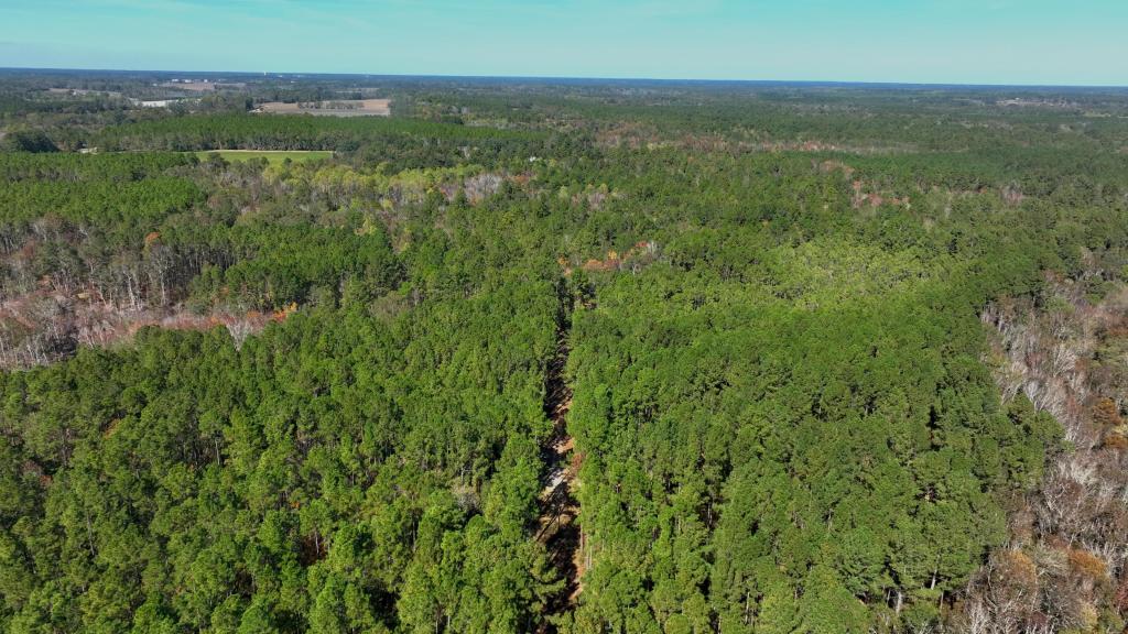 Lotts Creek – Tract 1 Photo