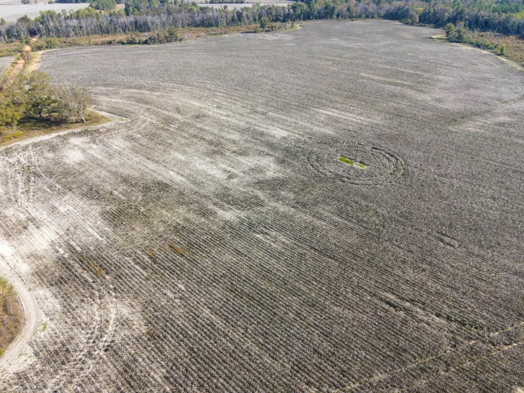 Bowen Hill Farm Photo