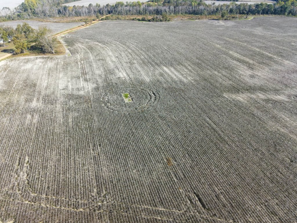 Bowen Hill Farm Photo