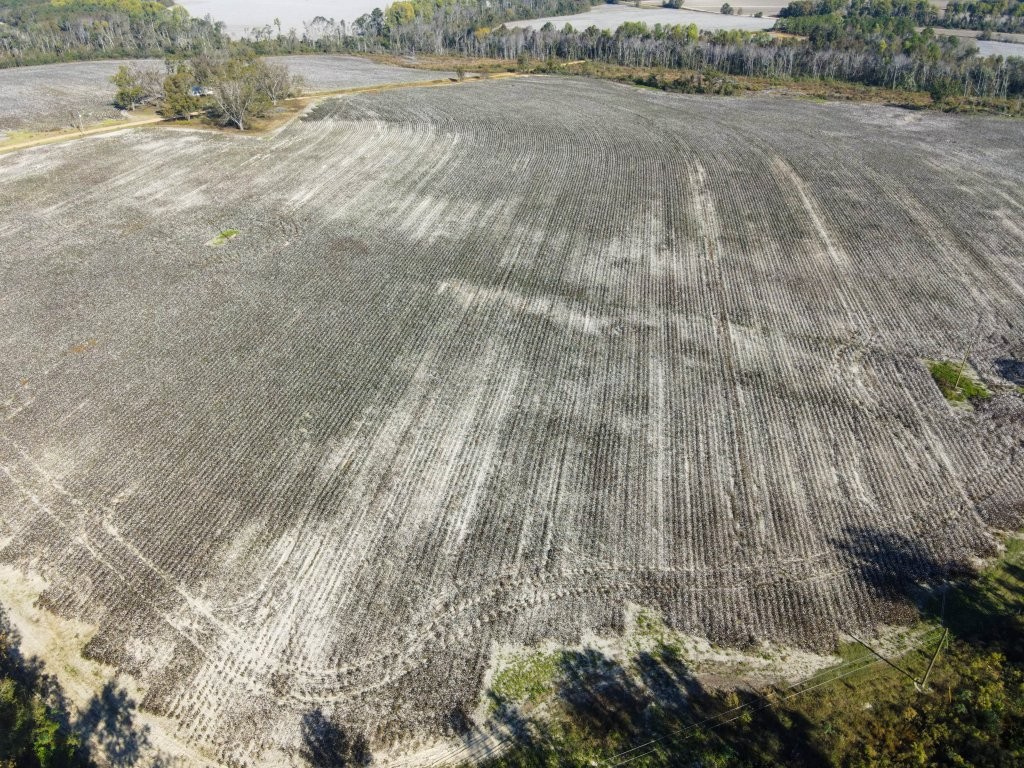 Bowen Hill Farm Photo