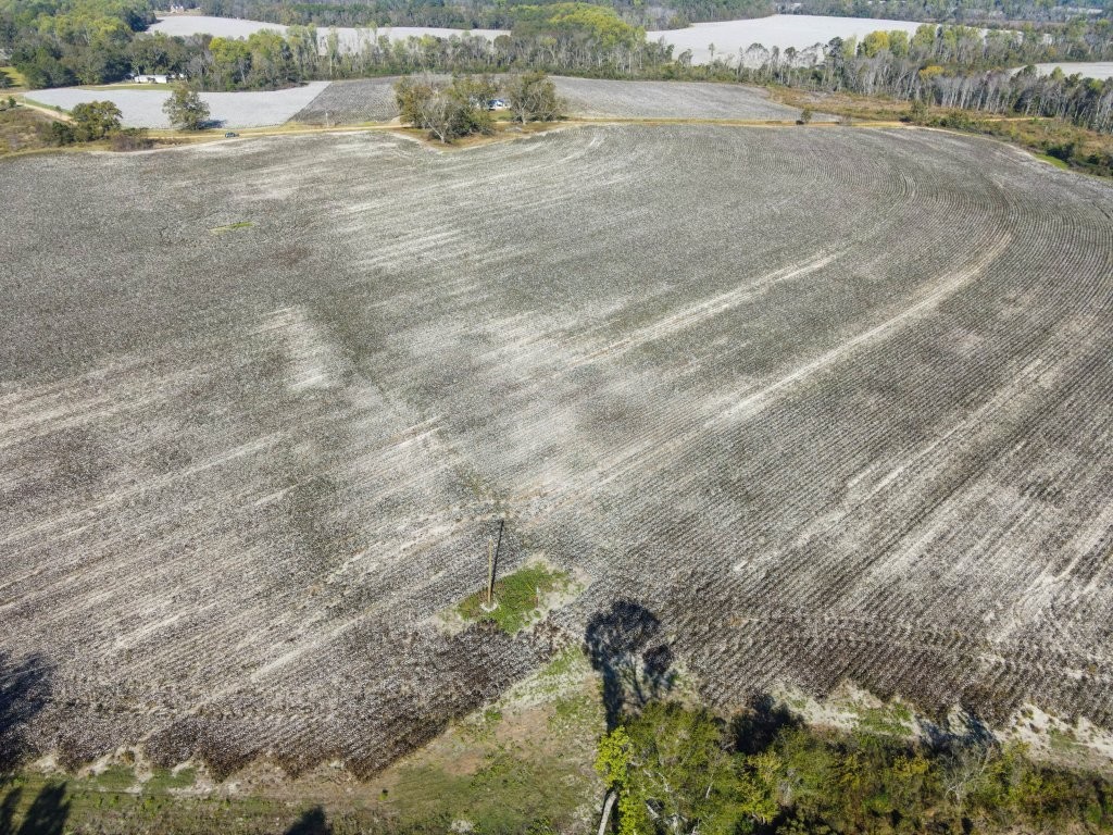 Bowen Hill Farm Photo