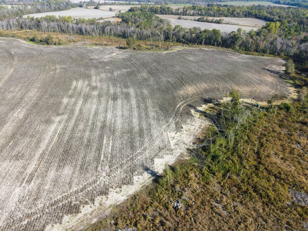 Bowen Hill Farm Photo