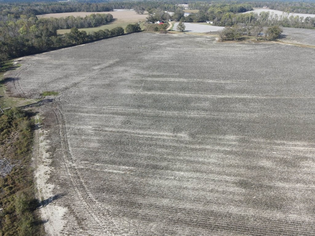 Bowen Hill Farm Photo