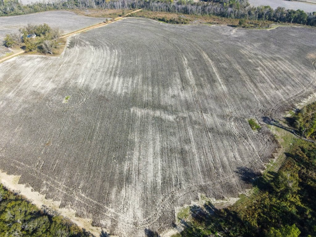 Bowen Hill Farm Photo