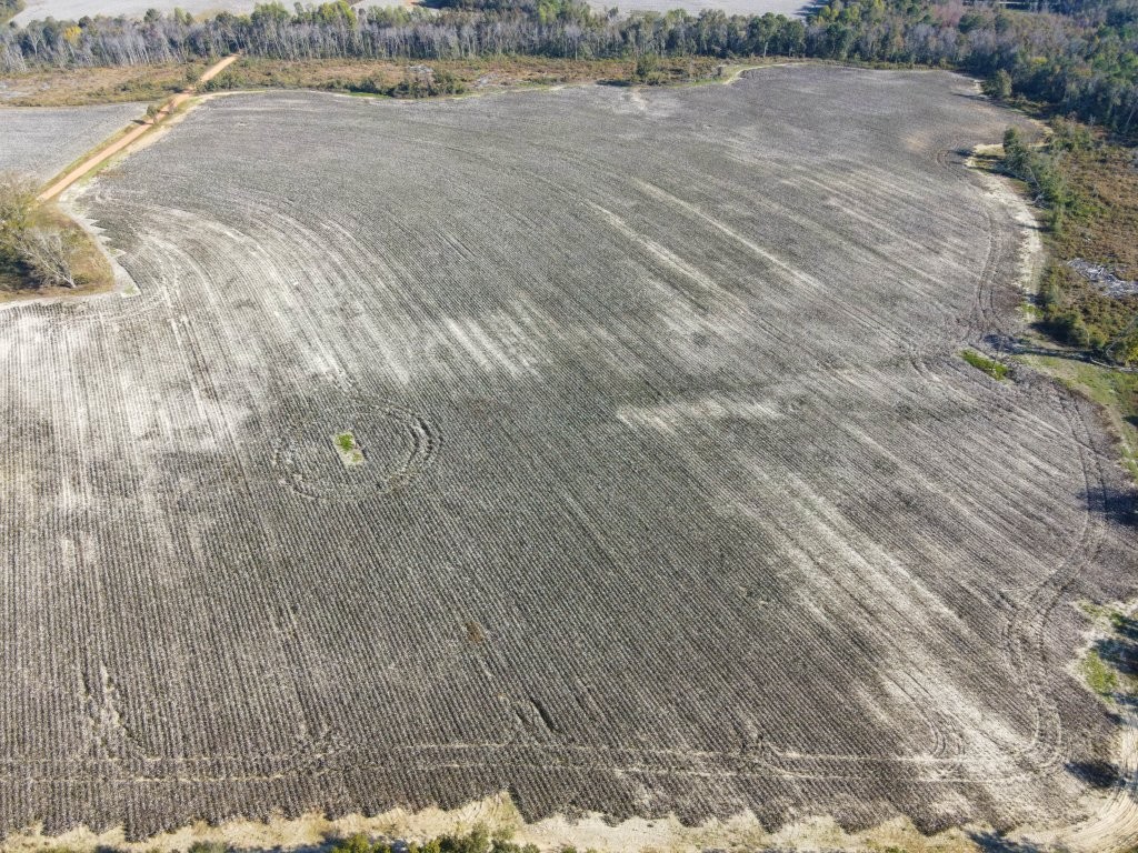 Bowen Hill Farm Photo