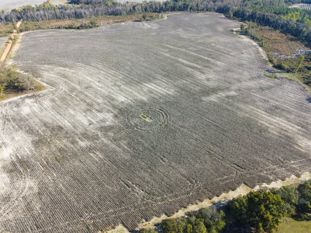 Bowen Hill Farm Photo